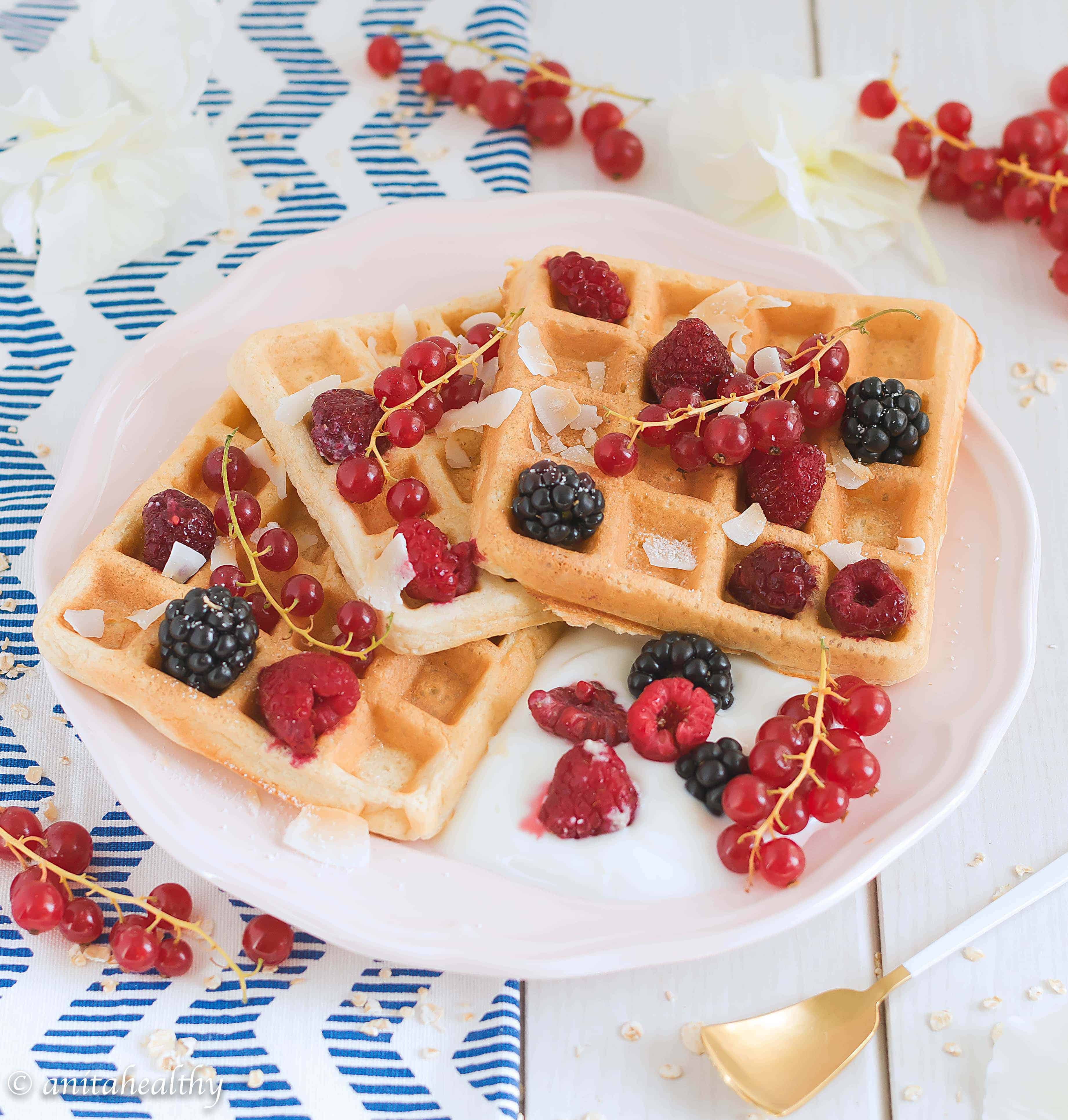 Waffles de aveia | Anita Healthy