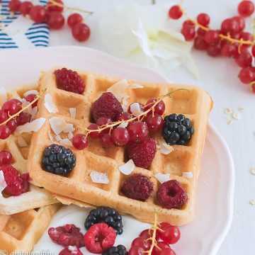 Waffles de aveia | Anita Healthy