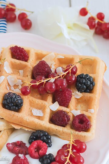 Waffles de aveia | Anita Healthy