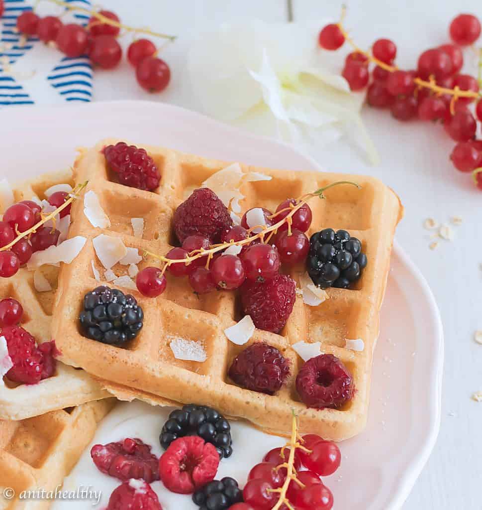 Waffles de aveia | Anita Healthy